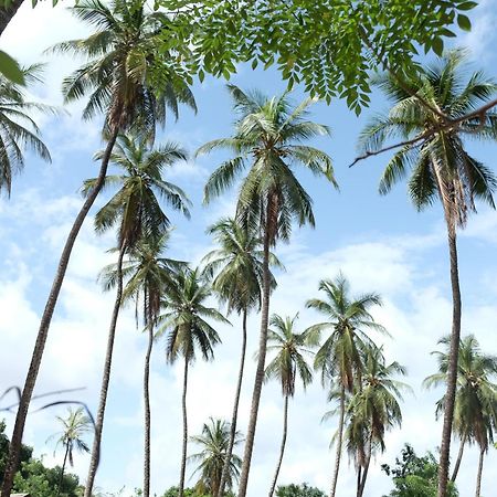 Centre Touristique Et Culturel Casamance Diakene Ouolof Exterior foto