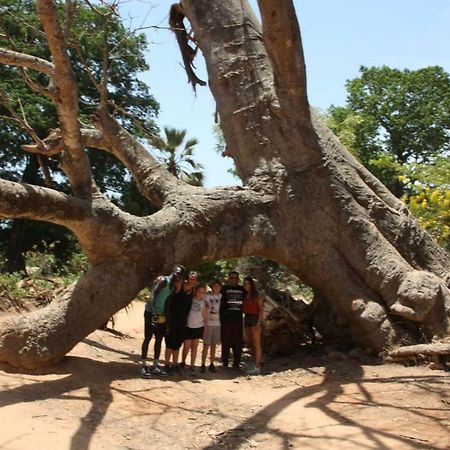 Centre Touristique Et Culturel Casamance Diakene Ouolof Exterior foto