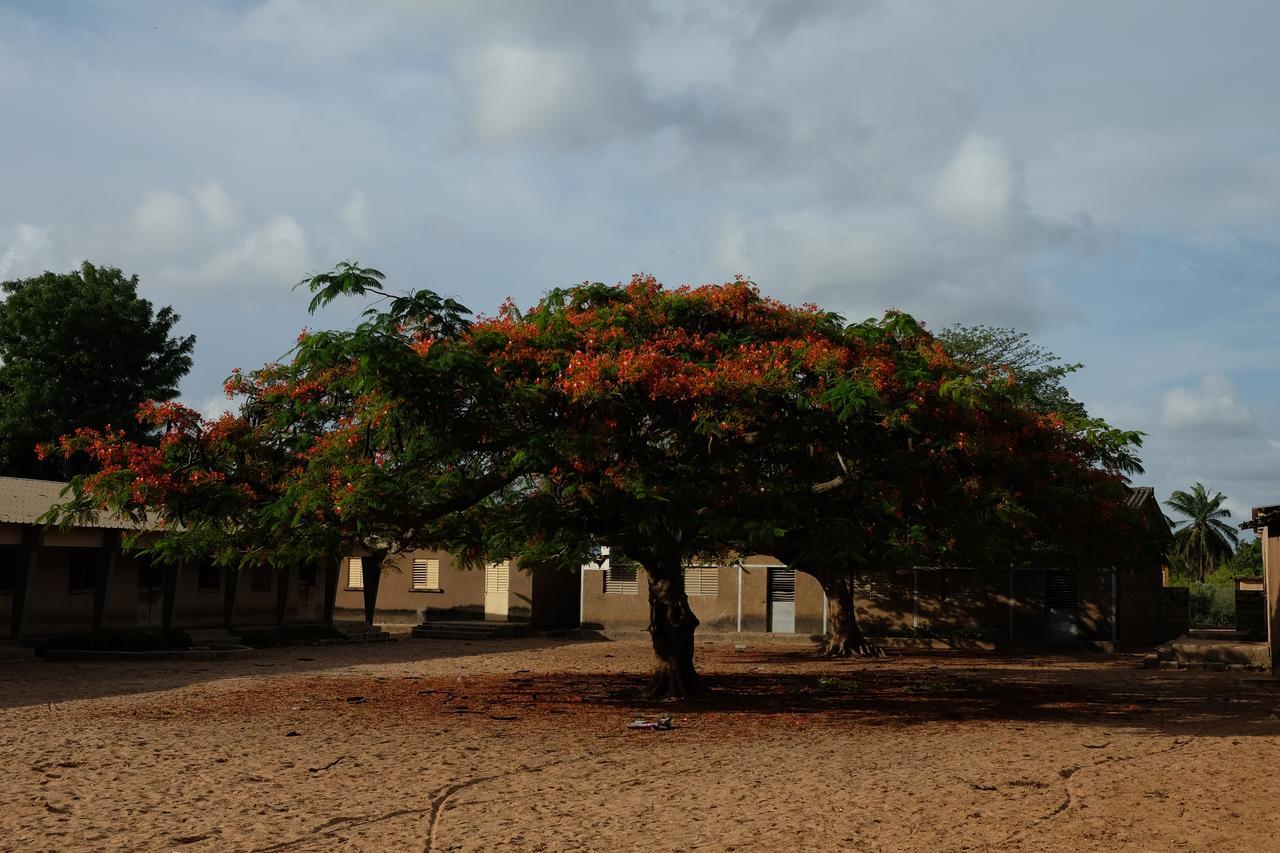 Centre Touristique Et Culturel Casamance Diakene Ouolof Exterior foto