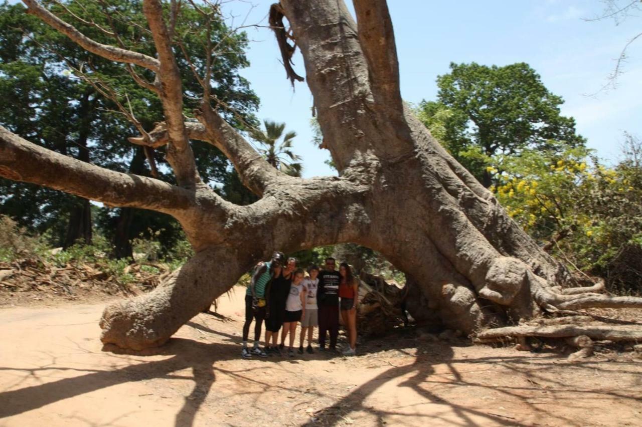 Centre Touristique Et Culturel Casamance Diakene Ouolof Exterior foto